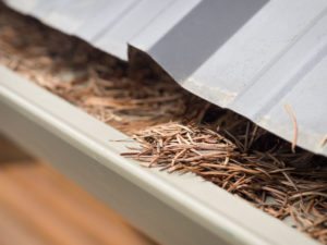  cleaning gutters in spring